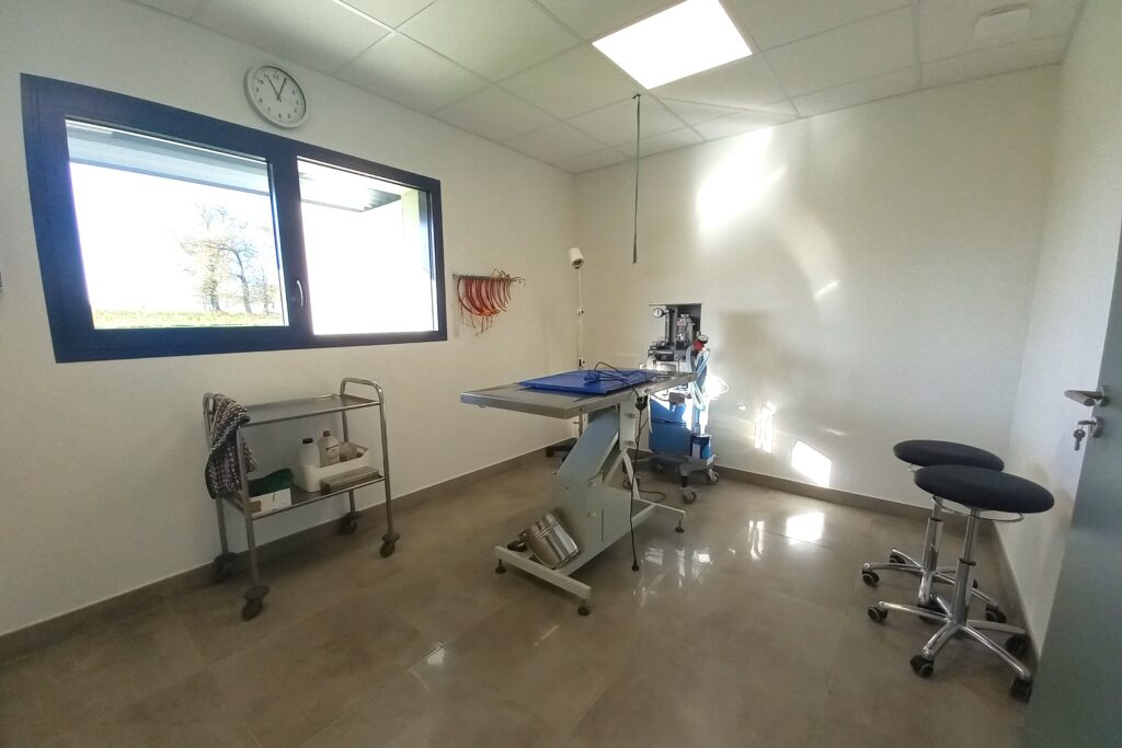 Clinique vétérinaire Val d'Izé 35