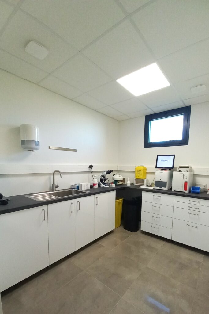 Clinique vétérinaire Val d'Izé 35